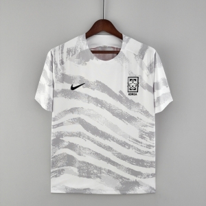 2022 Korean Training Jersey Gray - Kitsociety